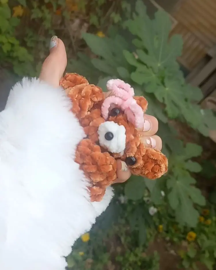 خرس قهوه ای کوچک خرس قهوه ای کوچک