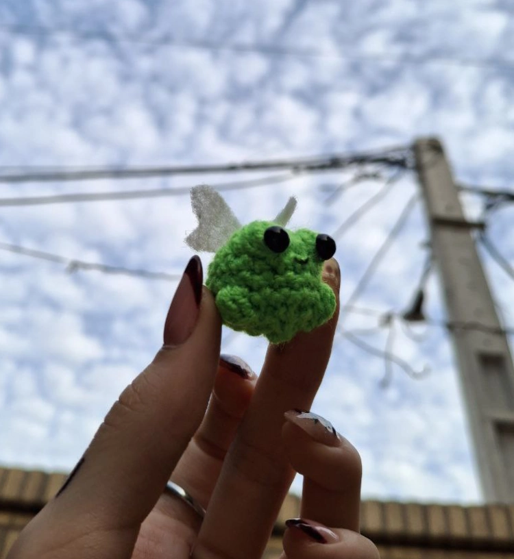 جاکلیدی غورباقه بالدار